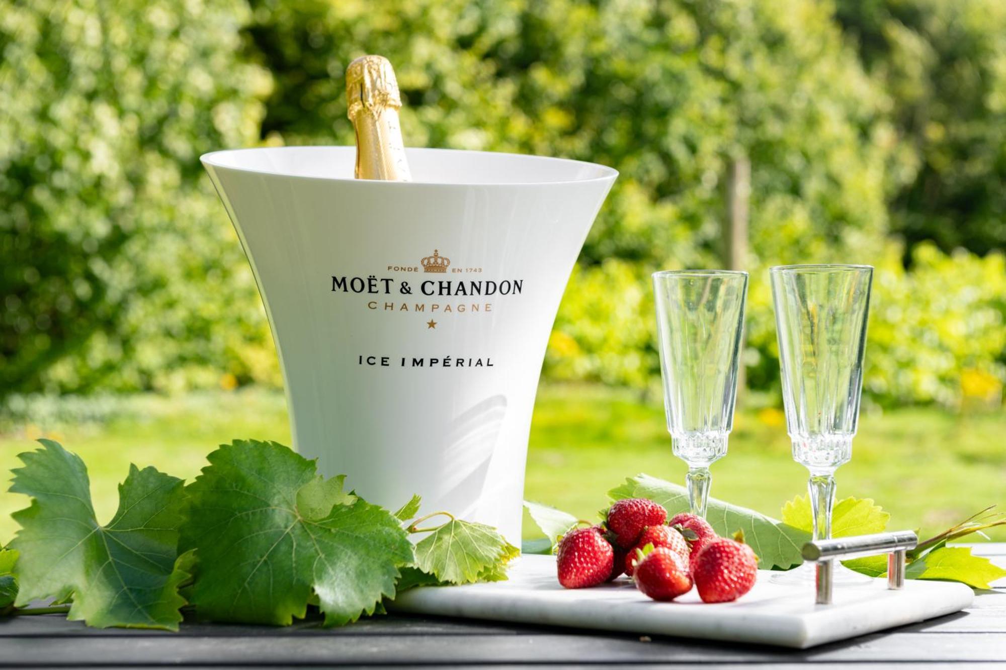 Downwood Vineyard Manor In Idyllic Countryside Villa Blandford Forum Eksteriør billede